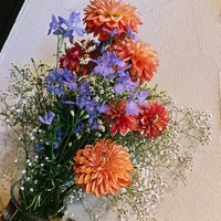 画像379