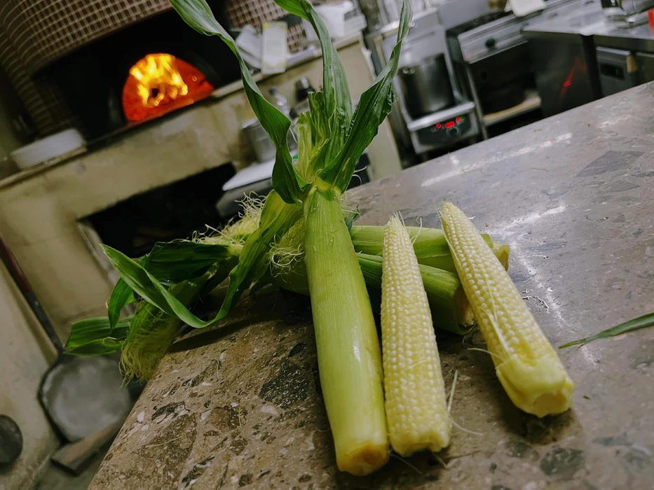 画像482