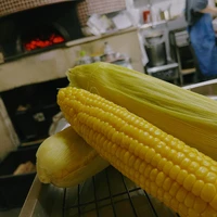 画像563