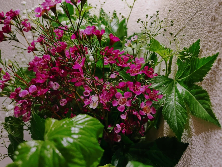 画像658