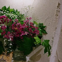 画像659